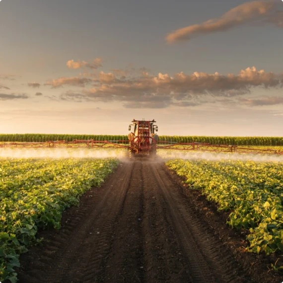 Consórcio no agronegócio: competitividade no mercado externo
